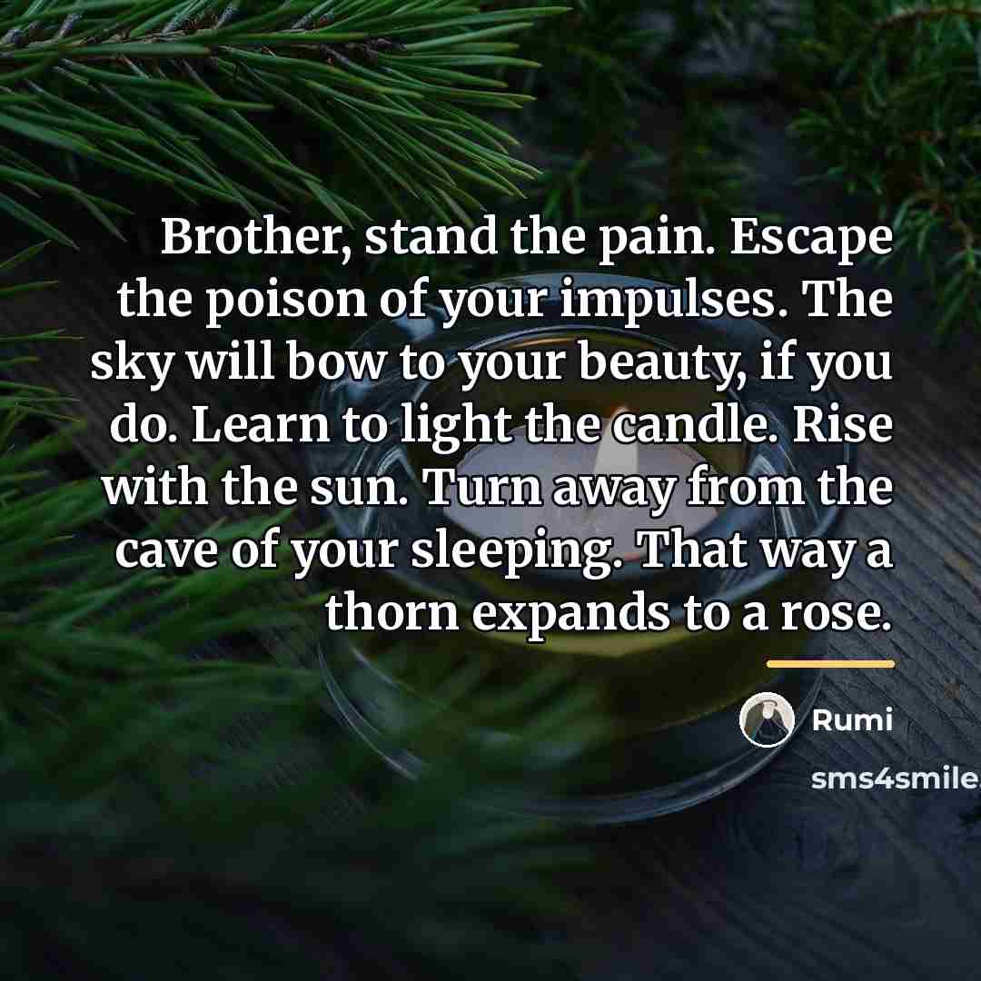 “Brother, stand the pain. Escape the poison of your impulses.…” quote by Rumi