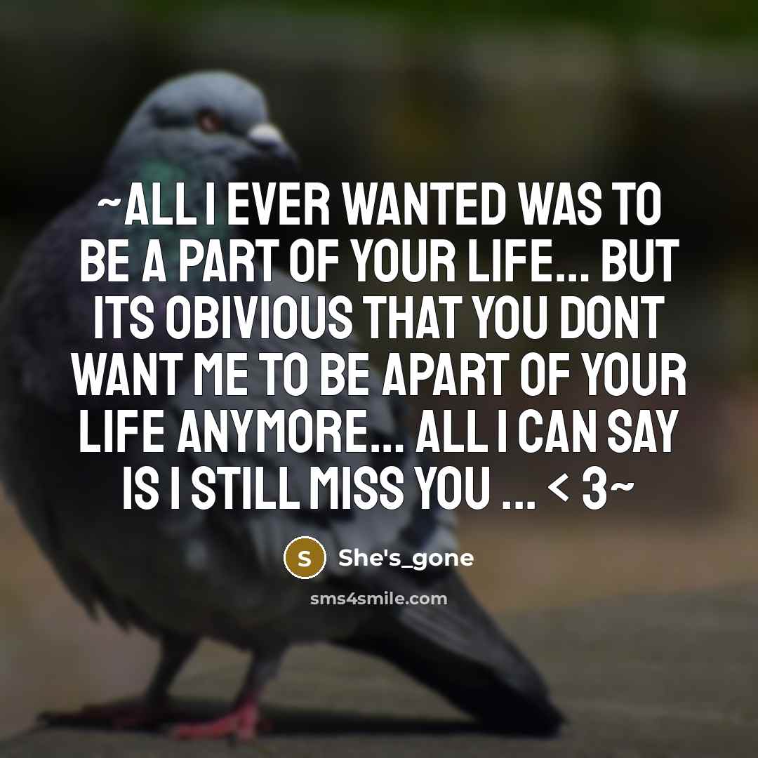 “~All I ever wanted was to be a part of your life… but its obivious that you dont want me to be apart of your life anymore… all I can say is I still miss you ... < 3~” quote by She's_gone