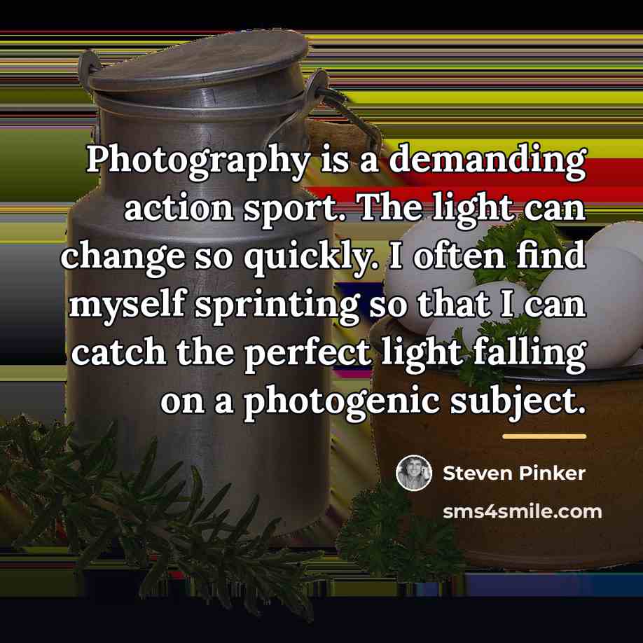 “Photography is a demanding action sport. The light can change…” quote by Steven Pinker
