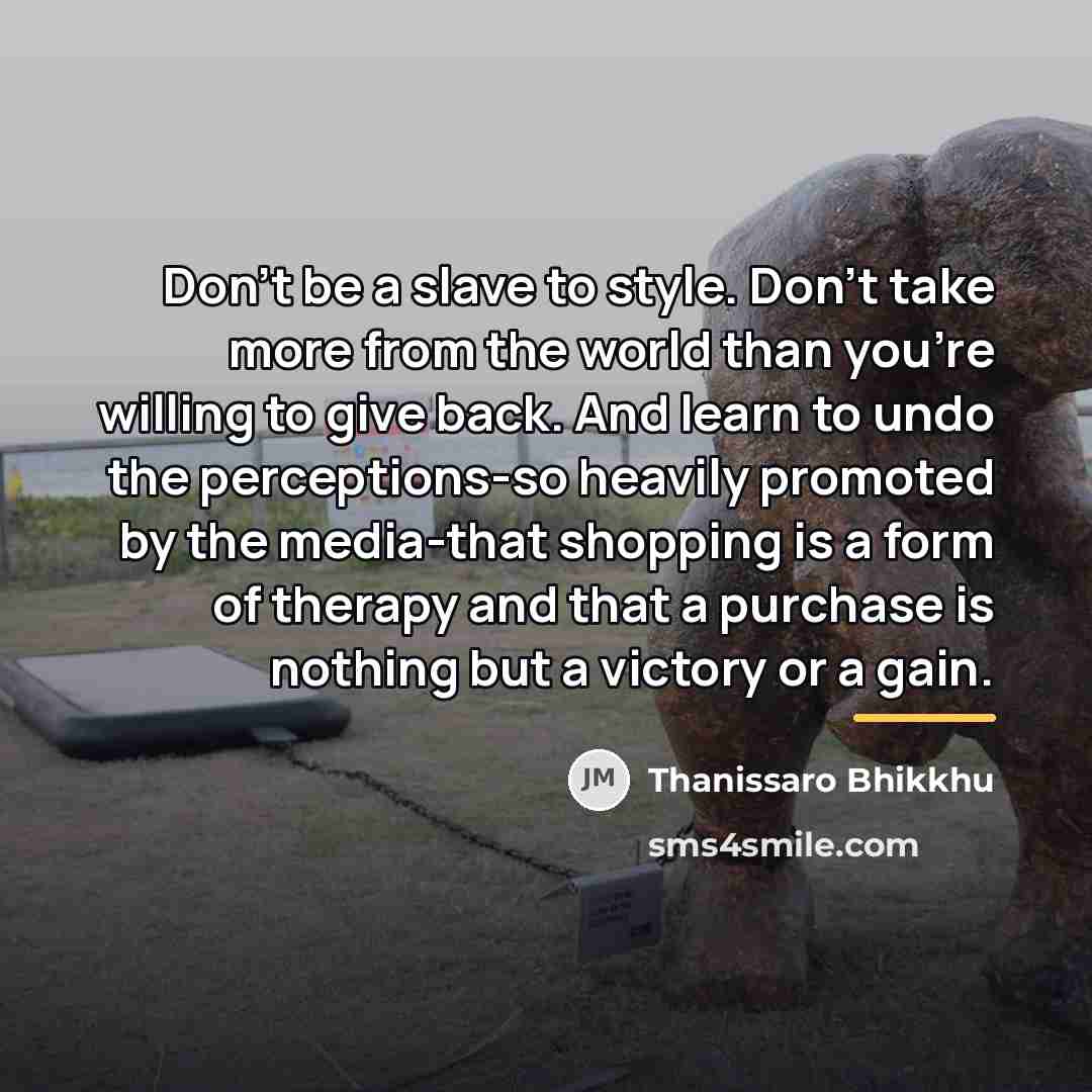 “Don't be a slave to style. Don't take more from…” quote by Thanissaro Bhikkhu