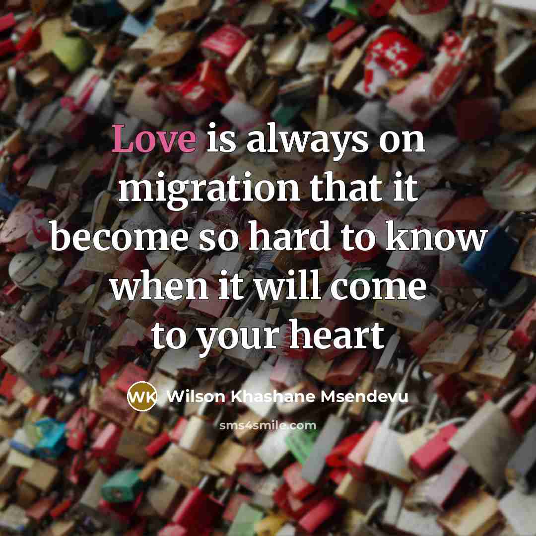 “Love is always on migration that it become so hard…” quote by Wilson Khashane Msendevu