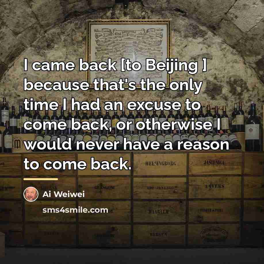 “I came back [to Beijing ] because that's the only…” quote by Ai Weiwei