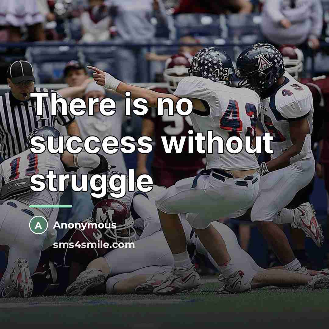 “There is no success without struggle…” quote by Anonymous