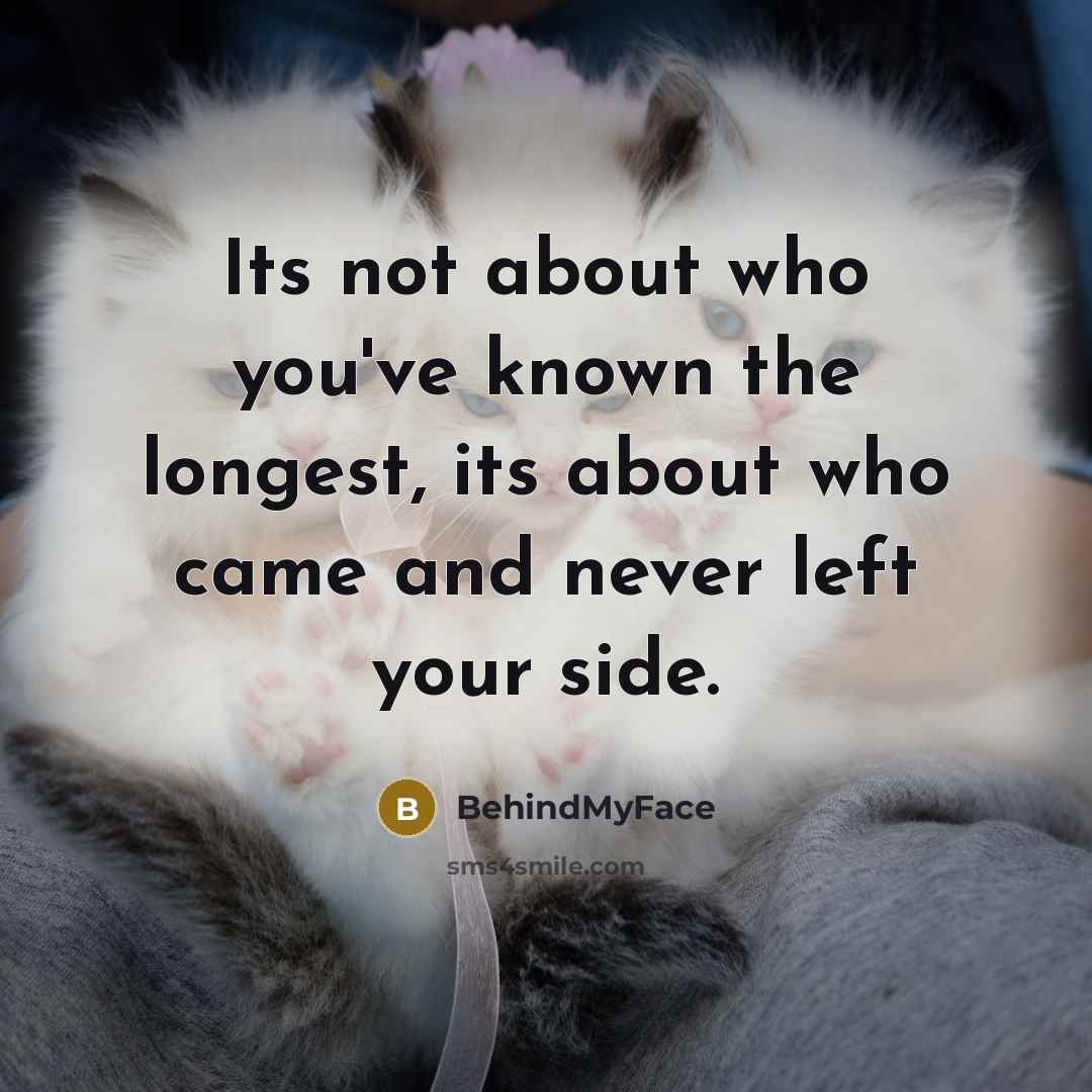 “Its not about who you've known the longest, its about…” quote by BehindMyFace