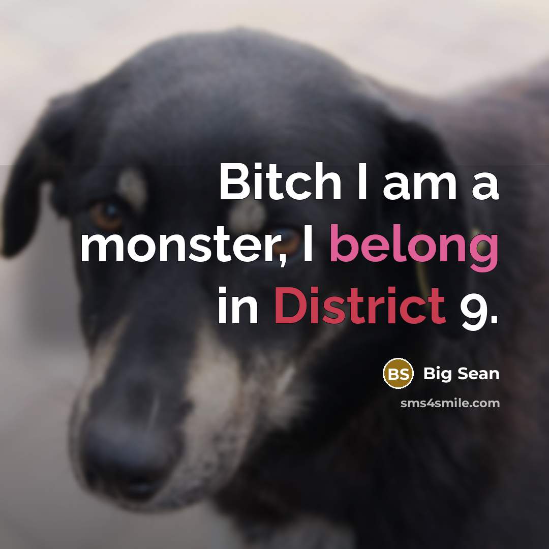 “Bitch I am a monster, I belong in District 9.” quote by Big Sean