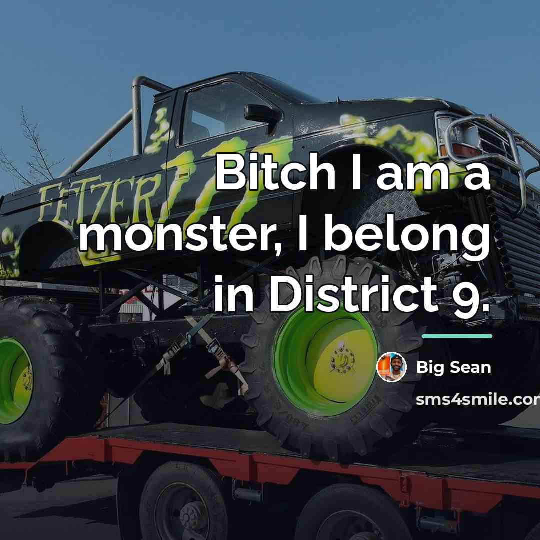 “Bitch I am a monster, I belong in District 9.…” quote by Big Sean