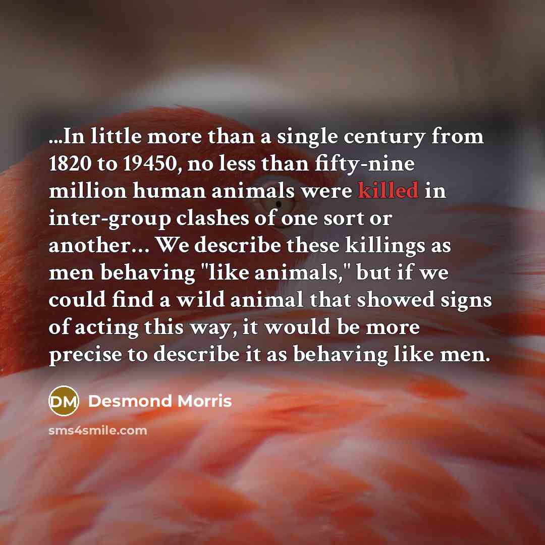 “...In little more than a single century from 1820 to…” quote by Desmond Morris