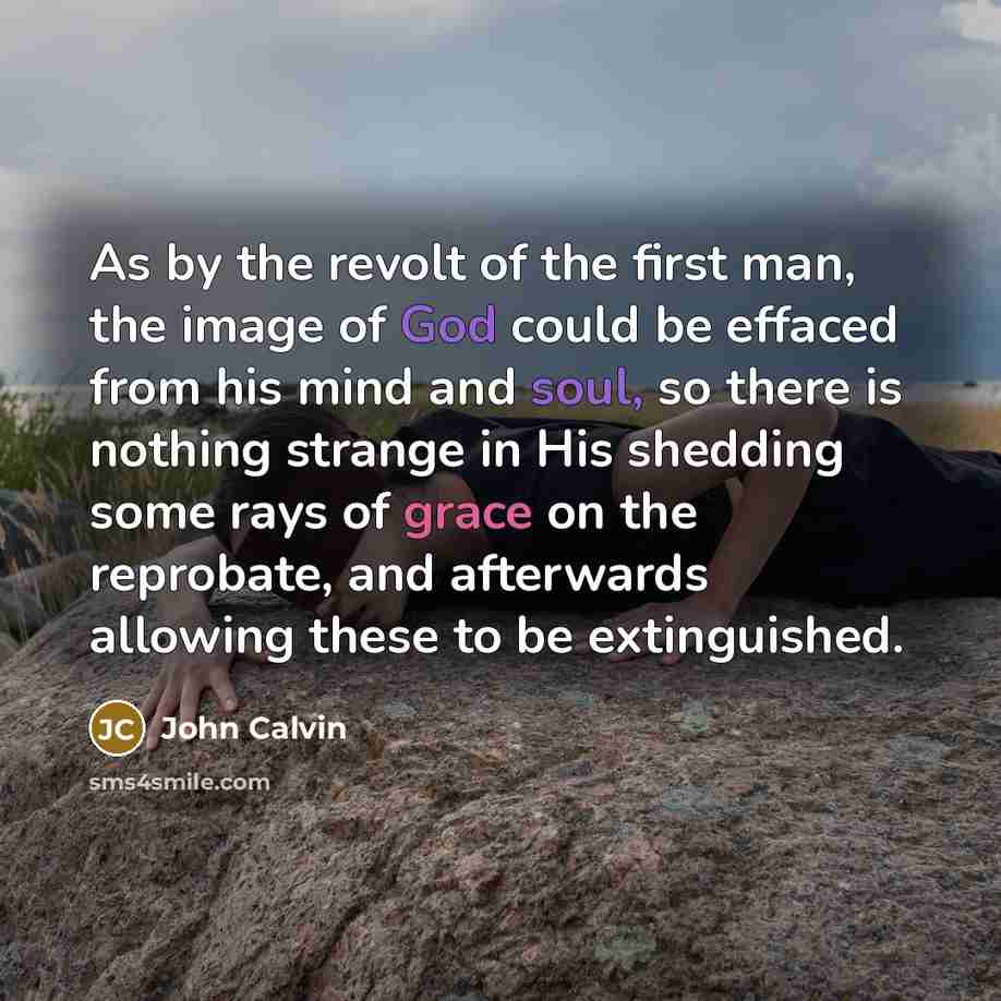 “As by the revolt of the first man, the image…” quote by John Calvin