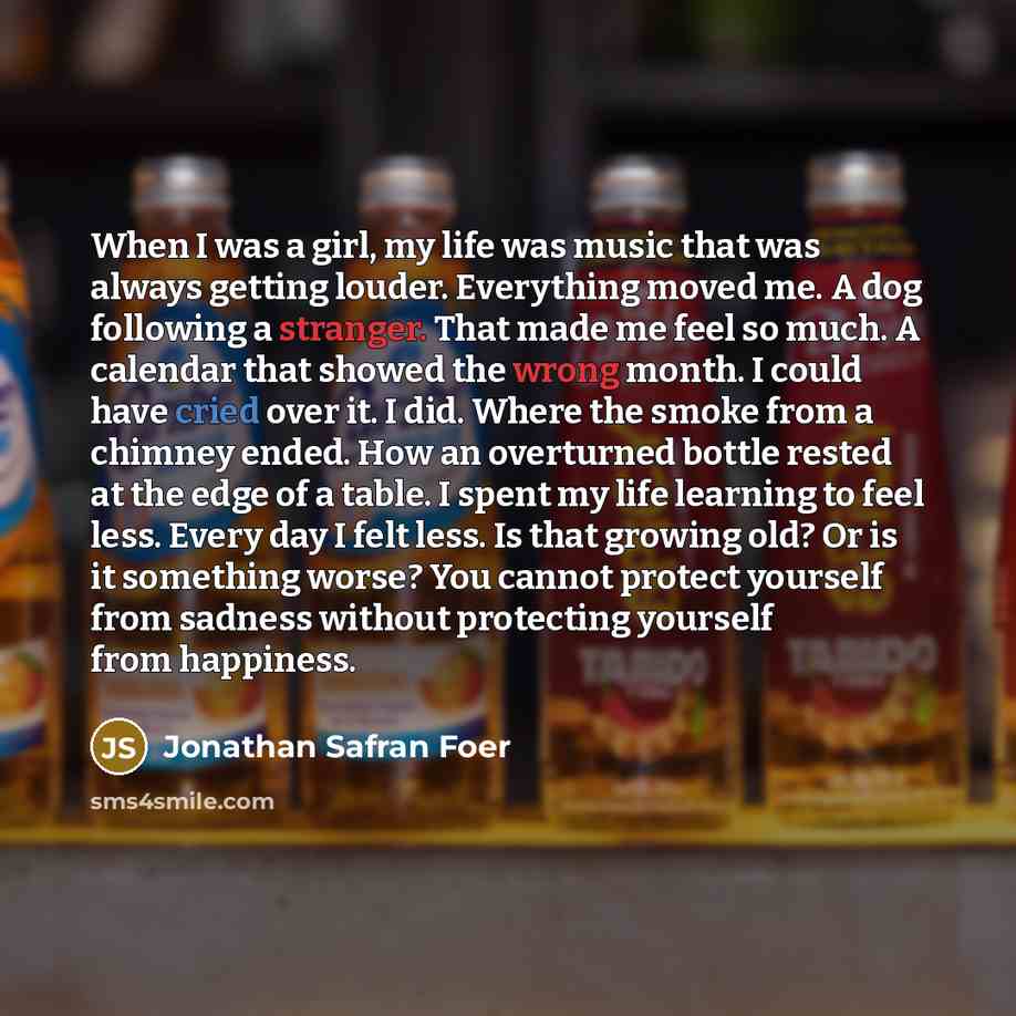 “When I was a girl, my life was music that…” quote by Jonathan Safran Foer