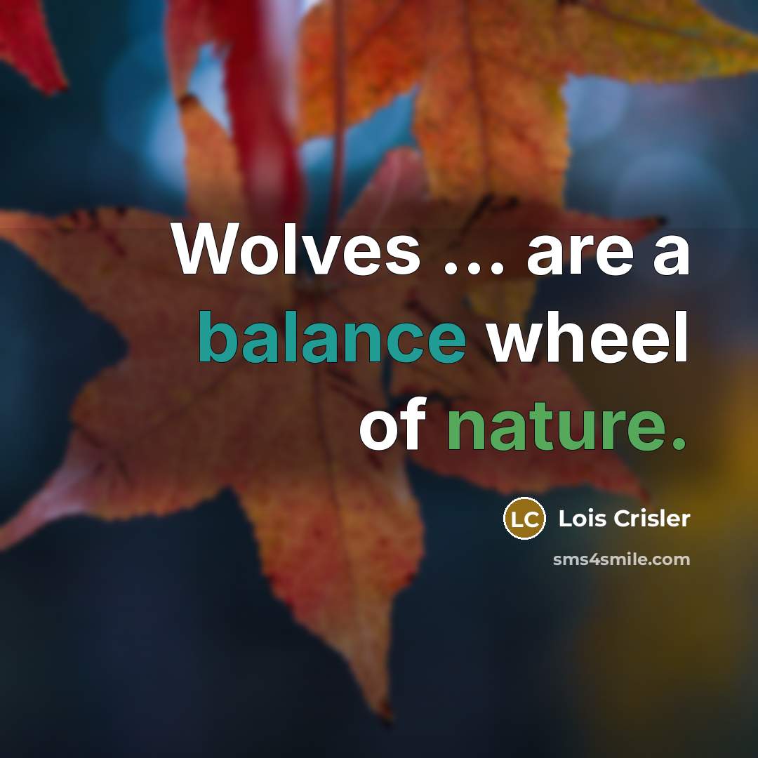 “Wolves ... are a balance wheel of nature.…” quote by Lois Crisler