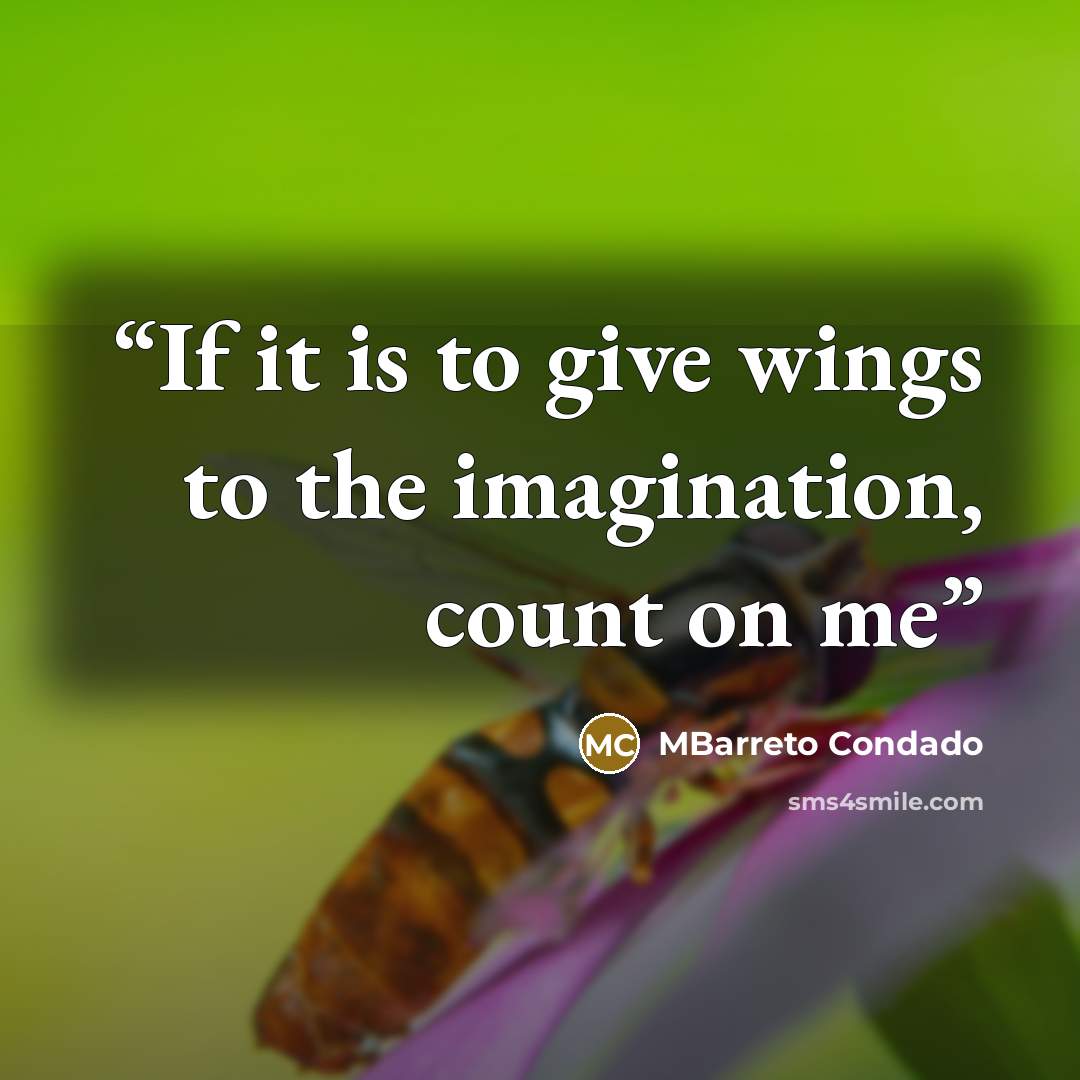 “If it is to give wings to the imagination, count on me” quote by MBarreto Condado