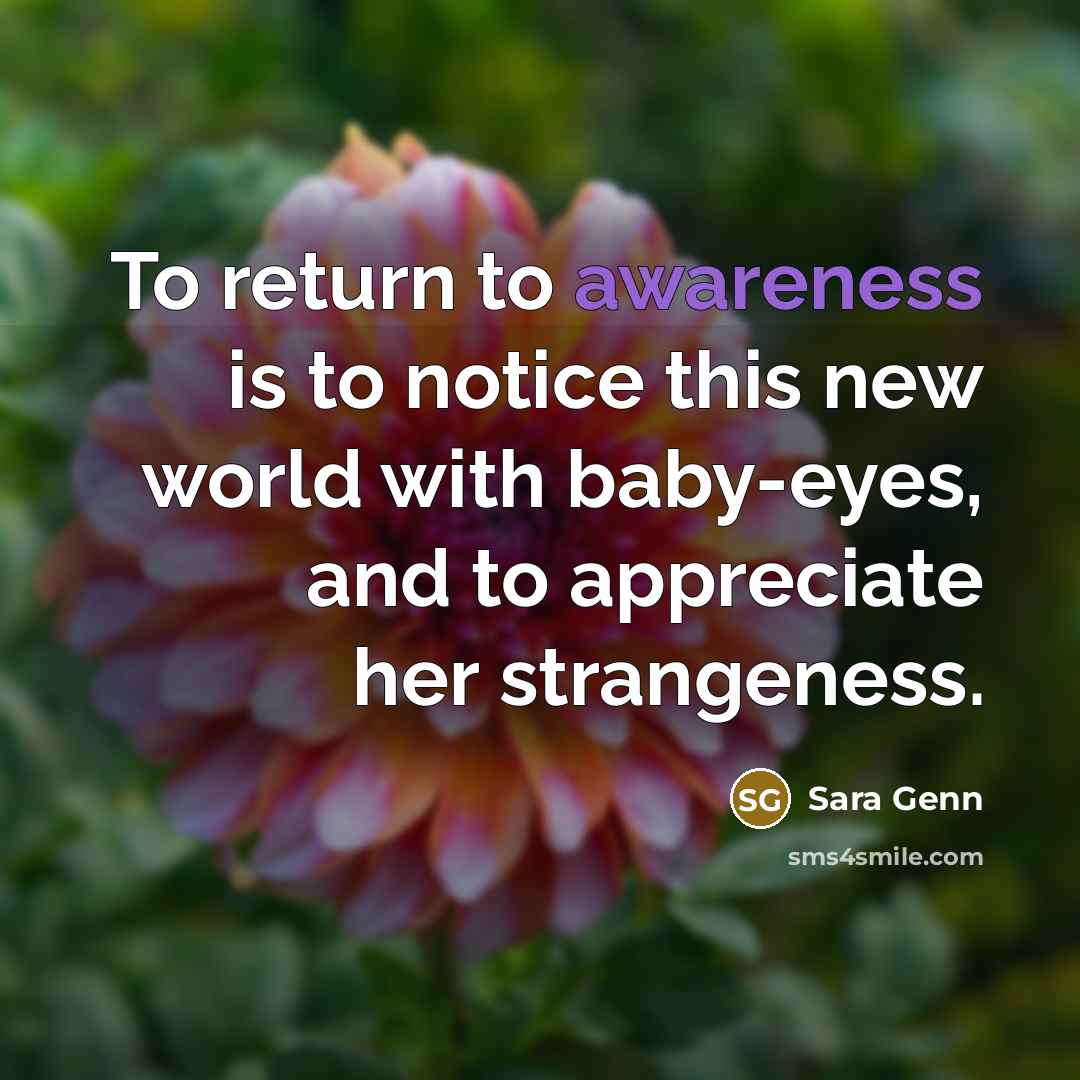 “To return to awareness is to notice this new world…” quote by Sara Genn