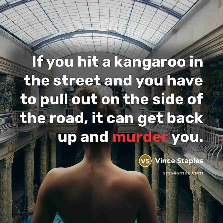 “If you hit a kangaroo in the street and you…” quote by Vince Staples