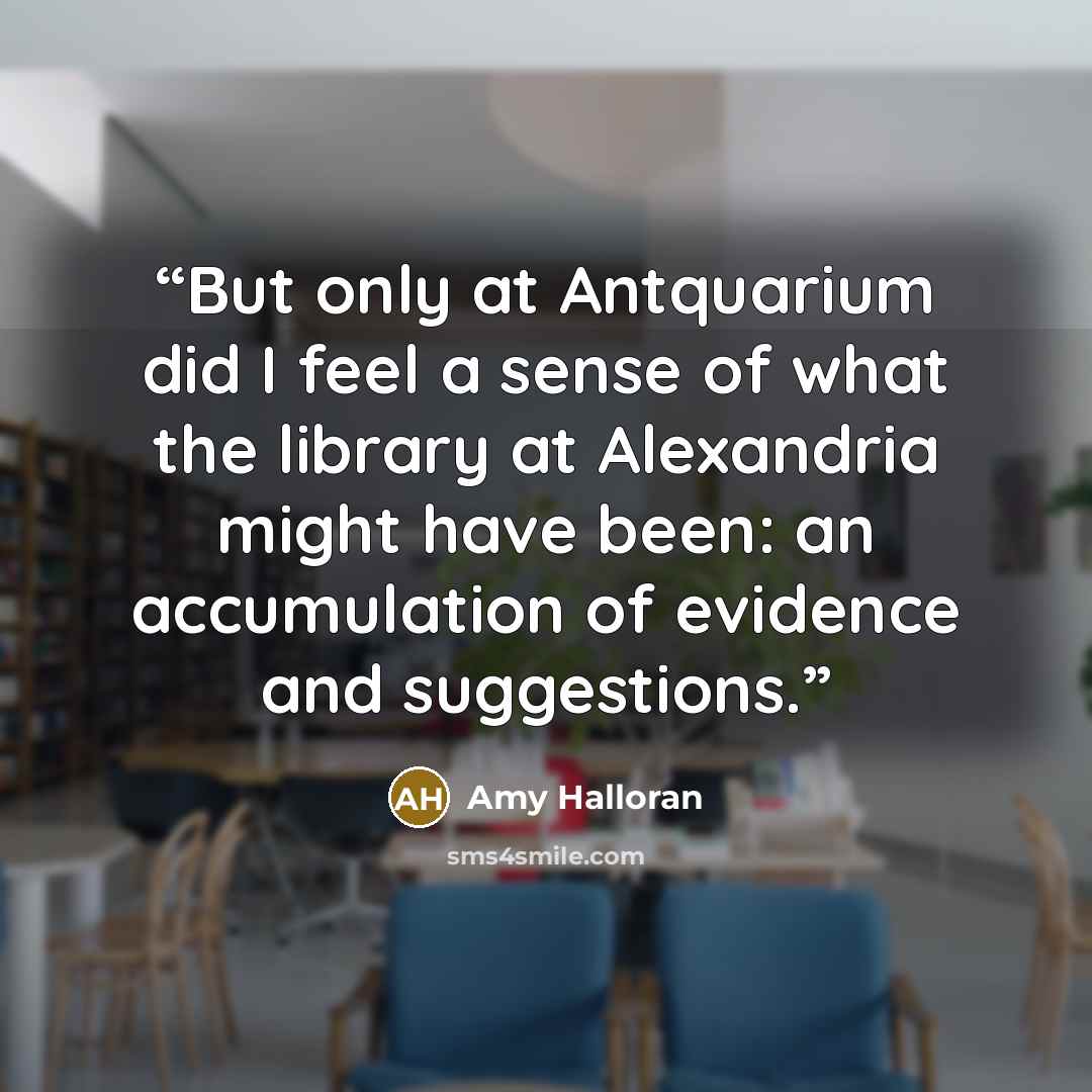 “But only at Antquarium did I feel a sense of what the library at Alexandria might have been: an accumulation of evidence and suggestions.” quote by Amy Halloran