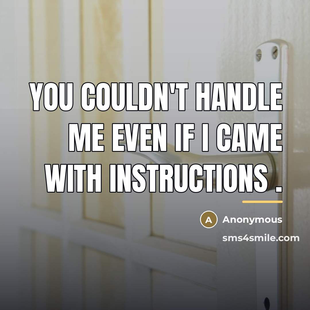 “You couldn't handle me even if I came with instructions…” quote by Anonymous