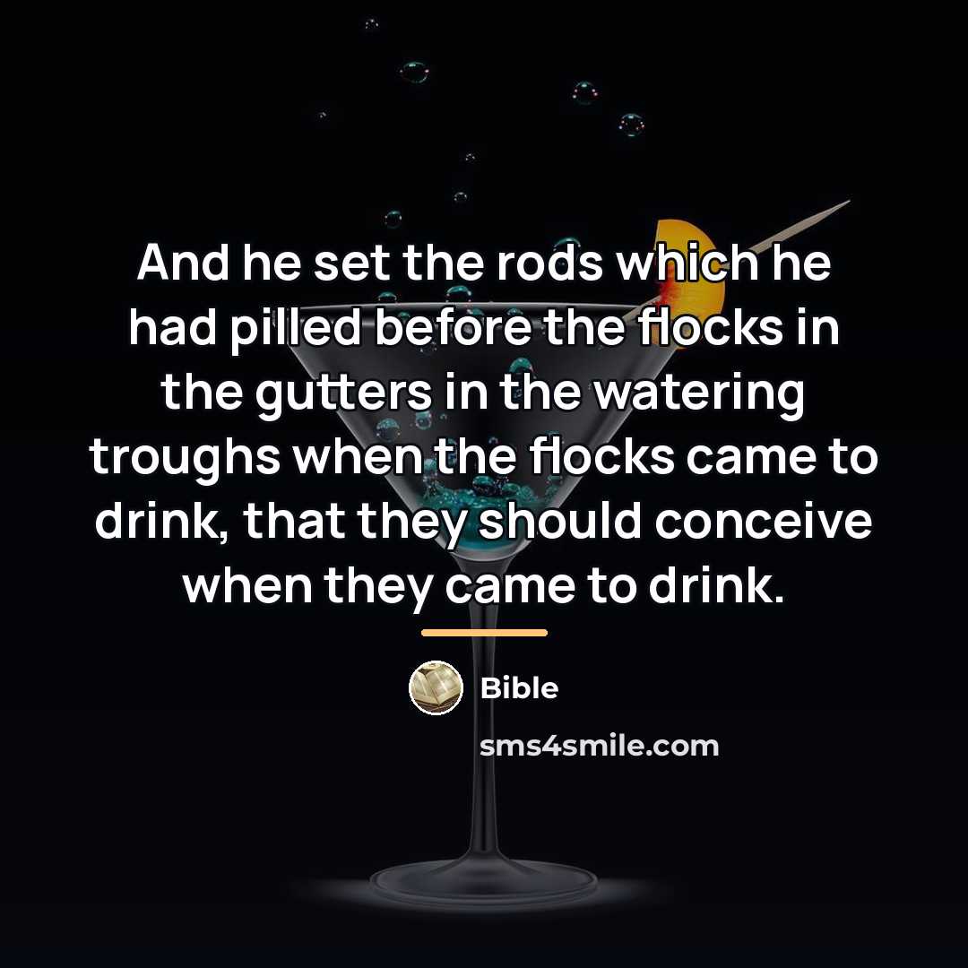 “And he set the rods which he had pilled before…” quote by Bible