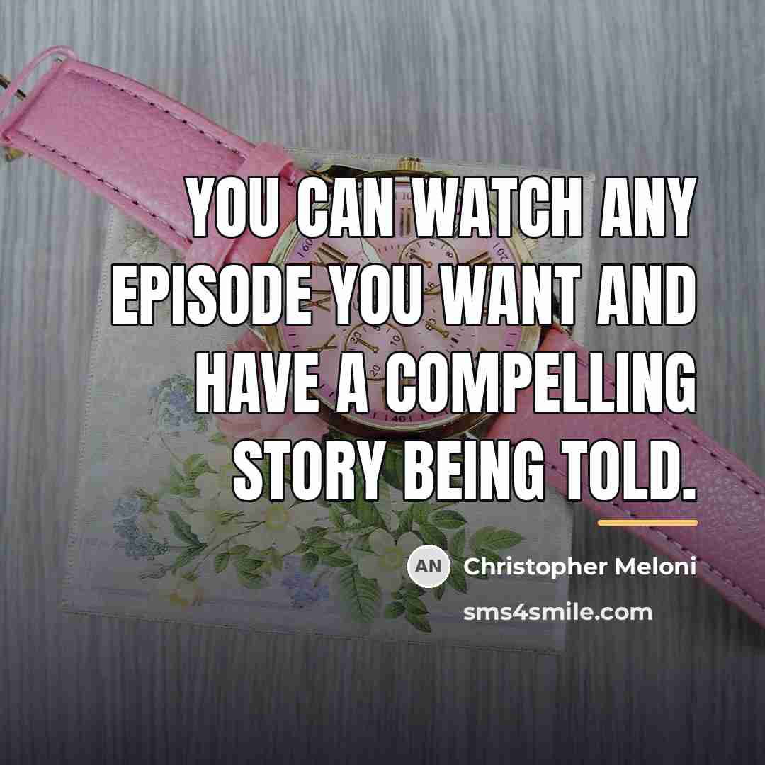 “You can watch any episode you want and have a…” quote by Christopher Meloni