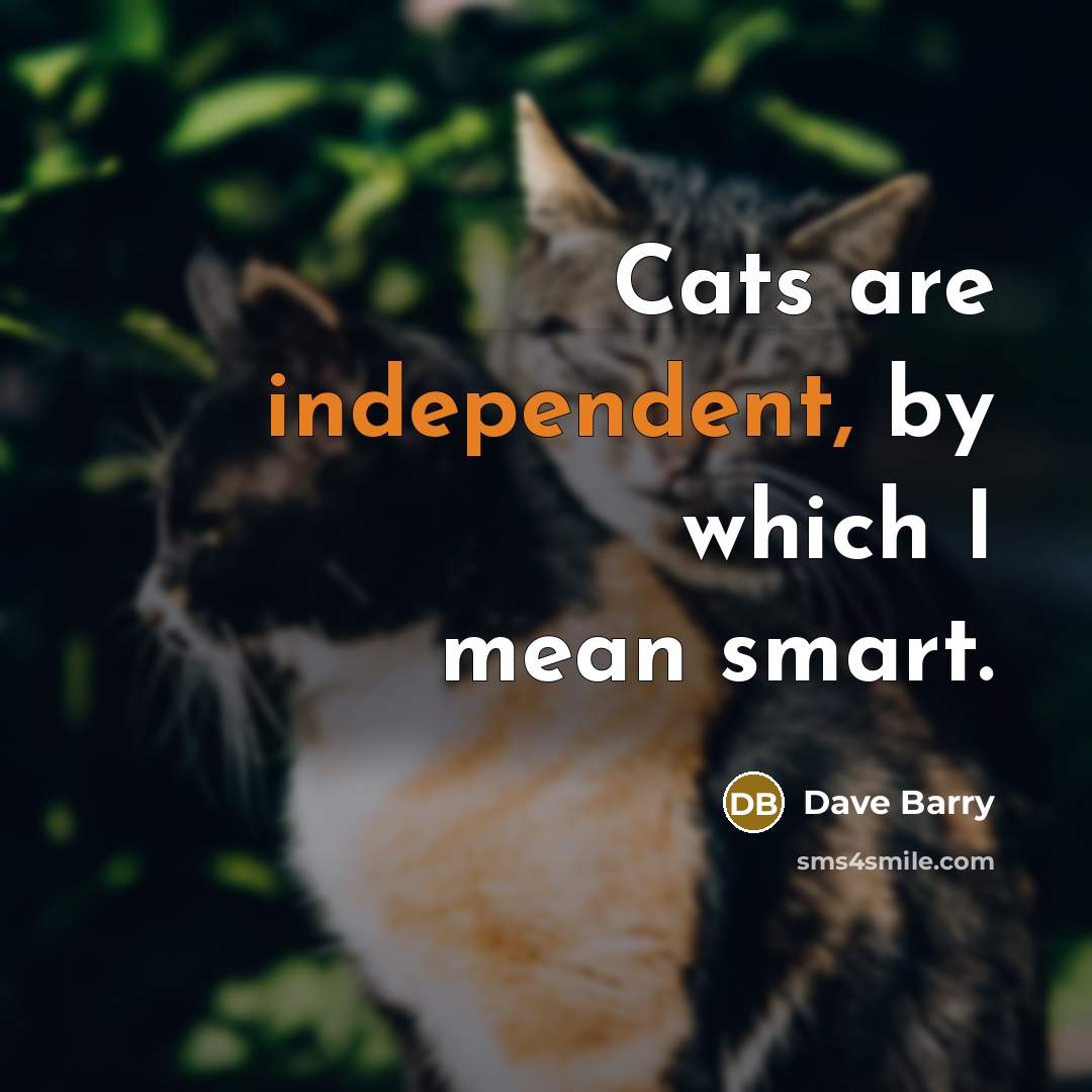 “Cats are independent, by which I mean smart.…” quote by Dave Barry