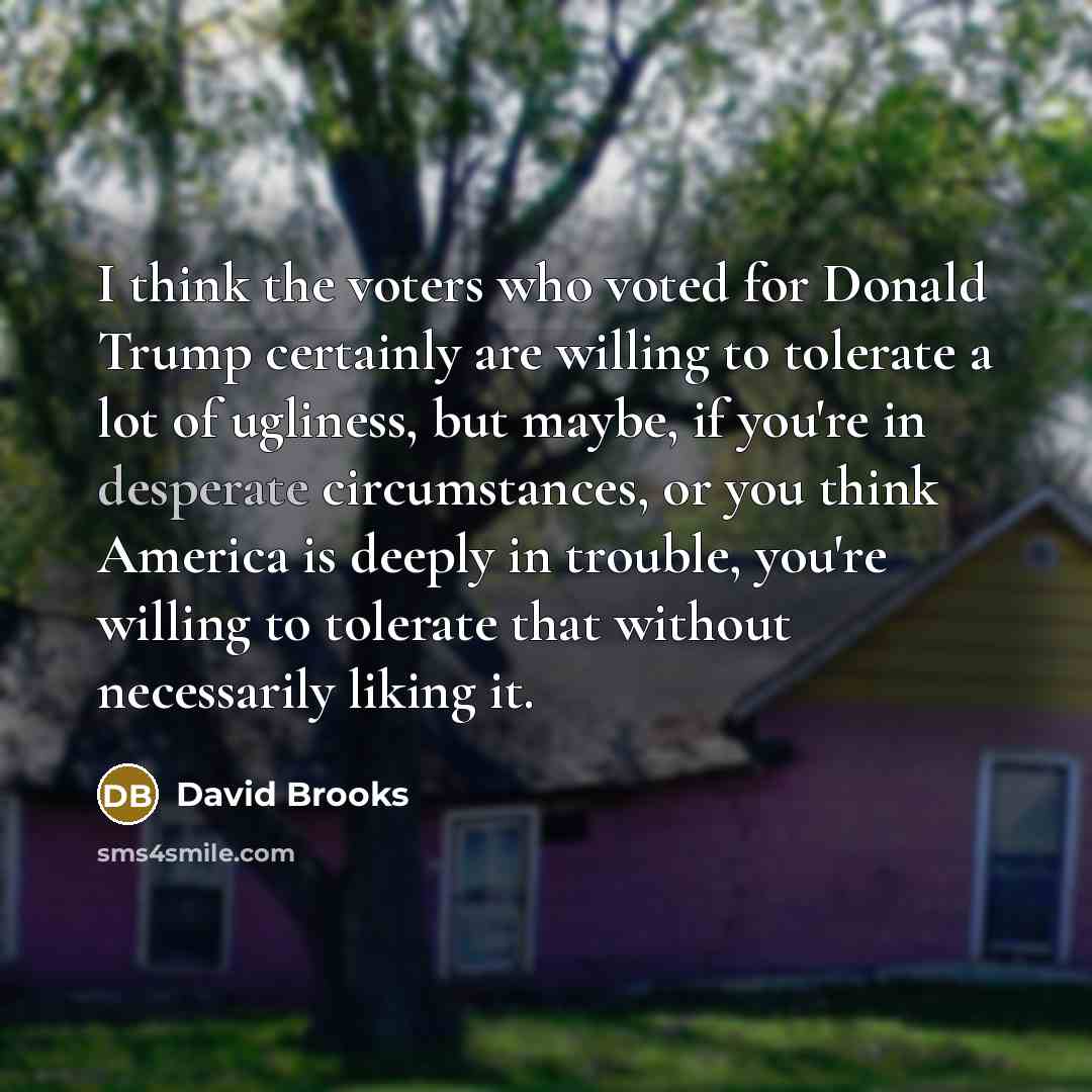 “I think the voters who voted for Donald Trump certainly…” quote by David Brooks