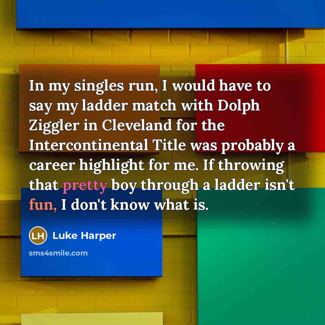 “In my singles run, I would have to say my…” quote by Luke Harper