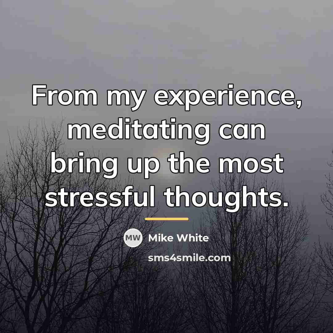 “From my experience, meditating can bring up the most stressful…” quote by Mike White