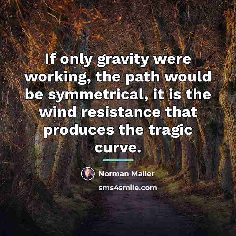 “If only gravity were working, the path would be symmetrical,…” quote by Norman Mailer