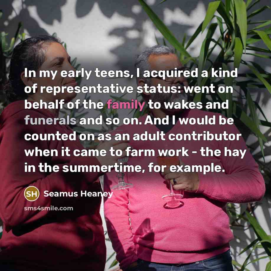 “In my early teens, I acquired a kind of representative…” quote by Seamus Heaney