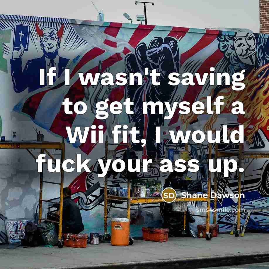 “If I wasn't saving to get myself a Wii fit, I would fuck your ass up.” quote by Shane Dawson