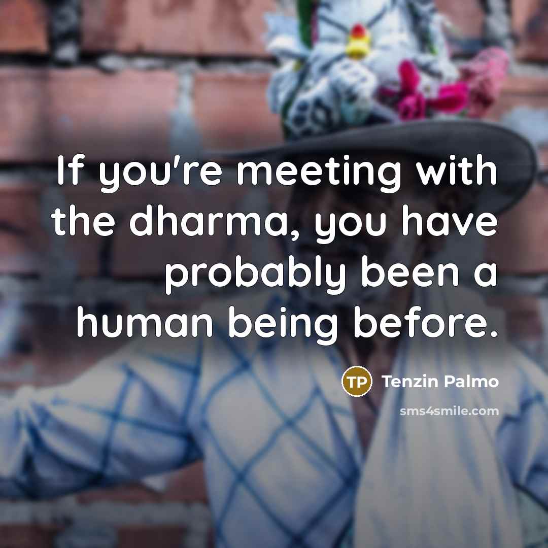 “If you're meeting with the dharma, you have probably been…” quote by Tenzin Palmo