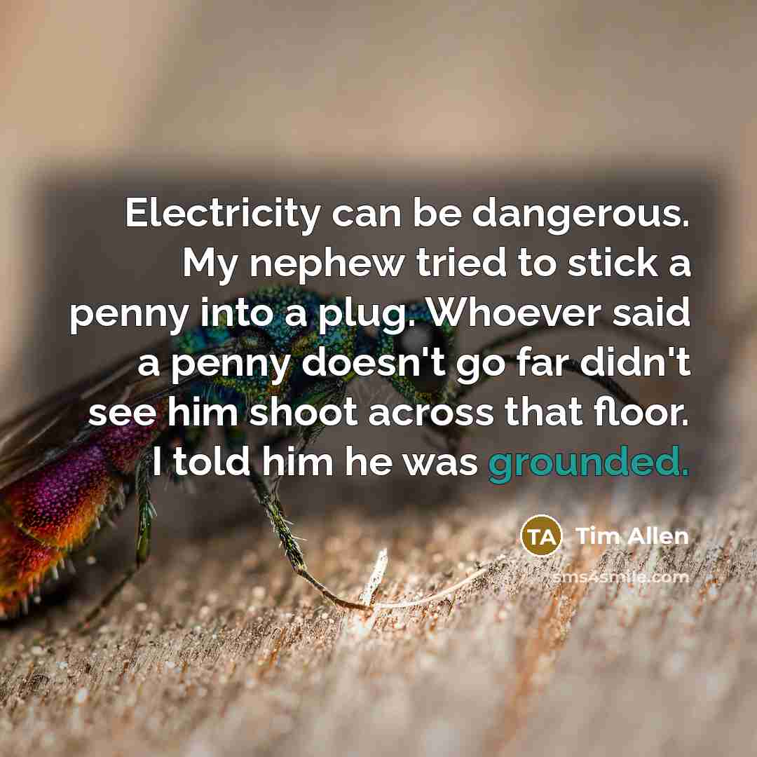 “Electricity can be dangerous. My nephew tried to stick a…” quote by Tim Allen