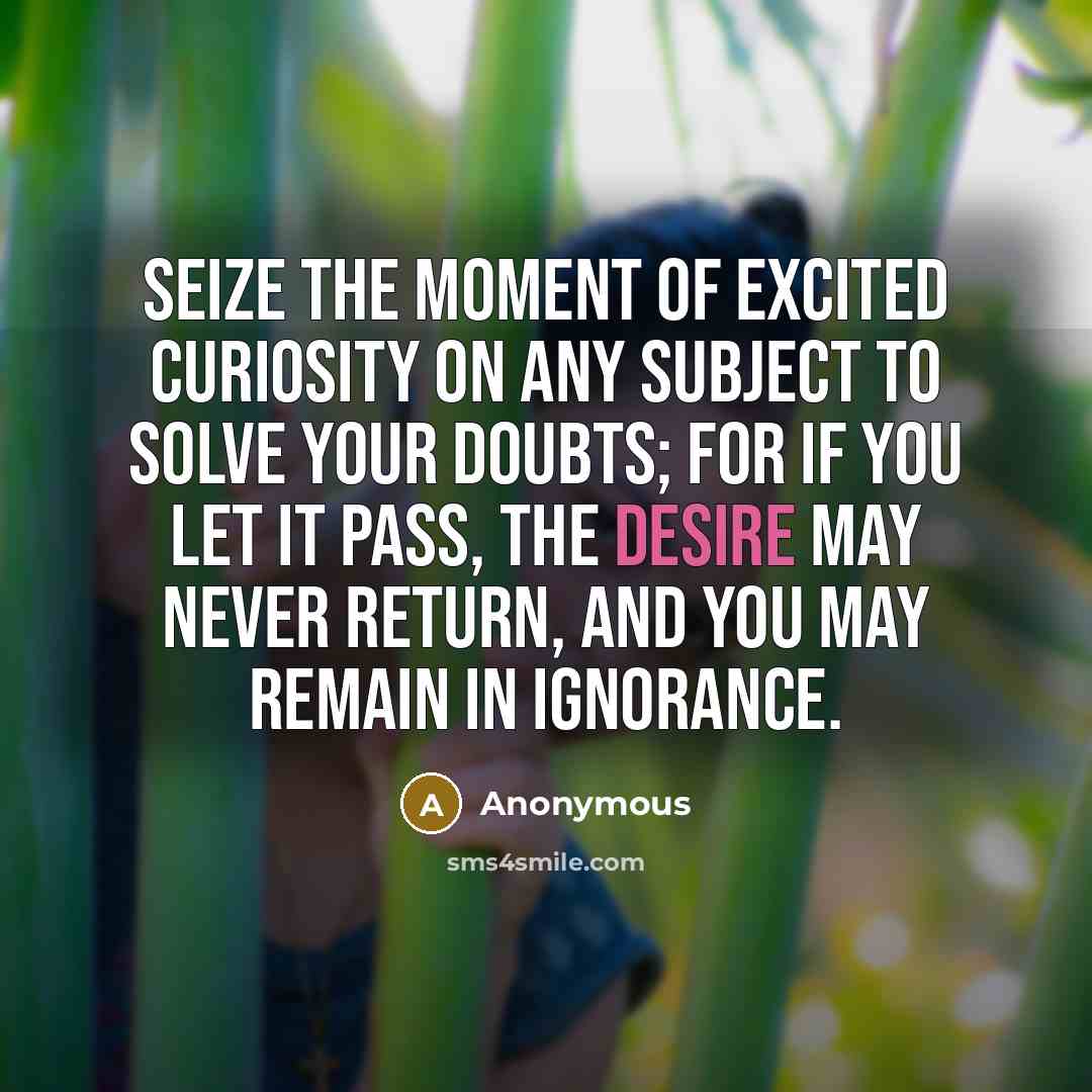 “Seize the moment of excited curiosity on any subject to…” quote by Anonymous