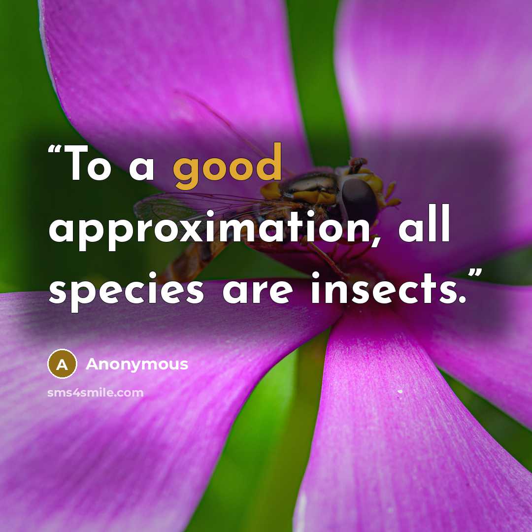 “To a good approximation, all species are insects.” quote by Anonymous