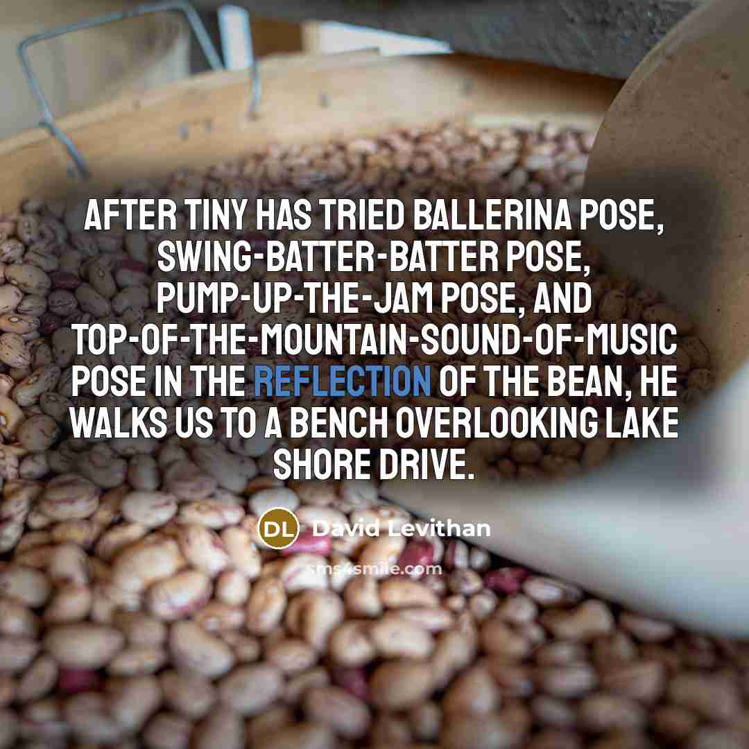 “After tiny has tried ballerina pose, swing-batter-batter pose, pump-up-the-jam pose,…” quote by David Levithan