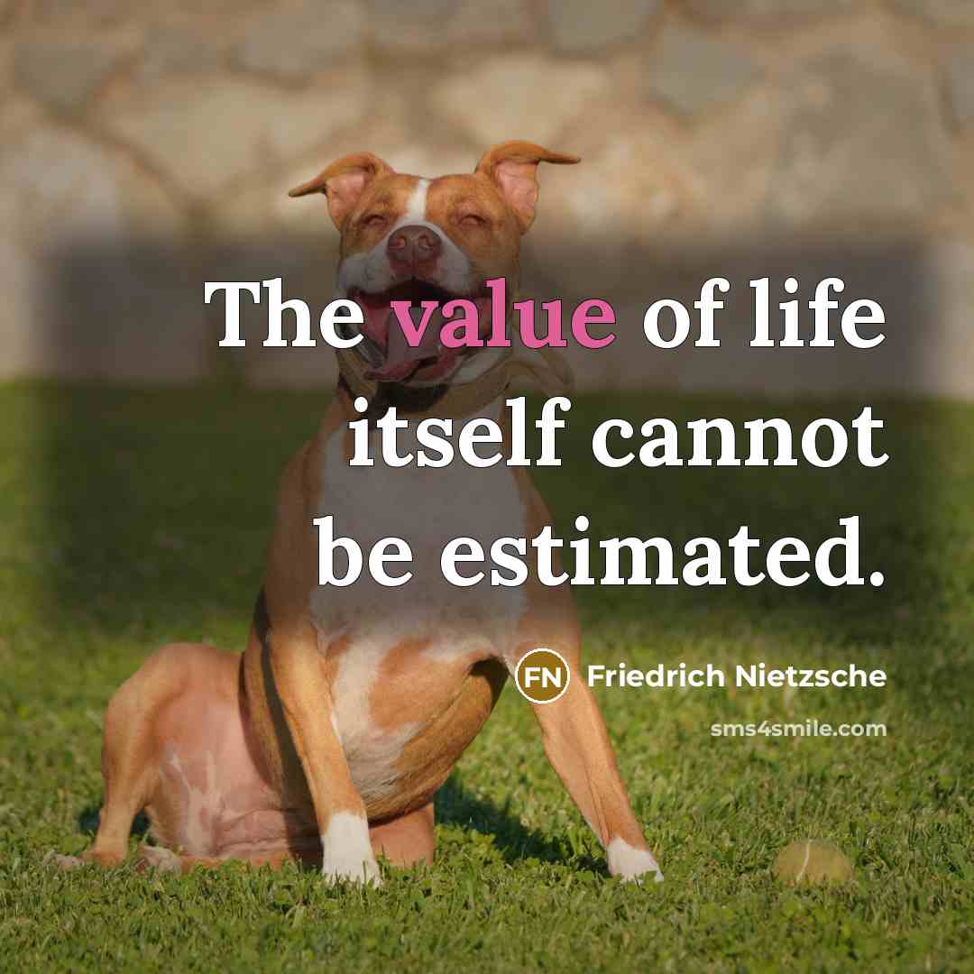 “The value of life itself cannot be estimated.…” quote by Friedrich Nietzsche