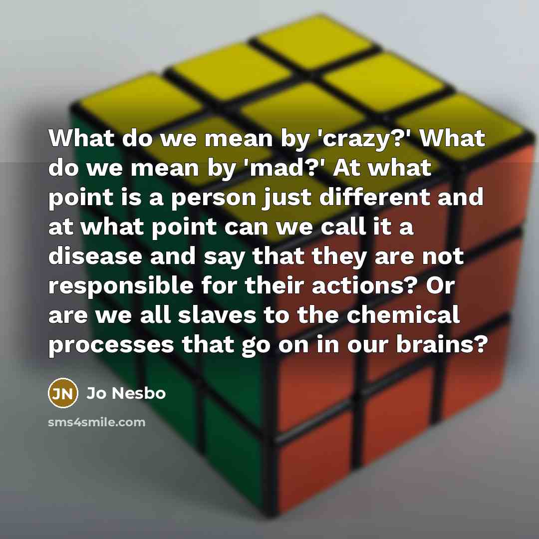 “What do we mean by 'crazy?' What do we mean…” quote by Jo Nesbo