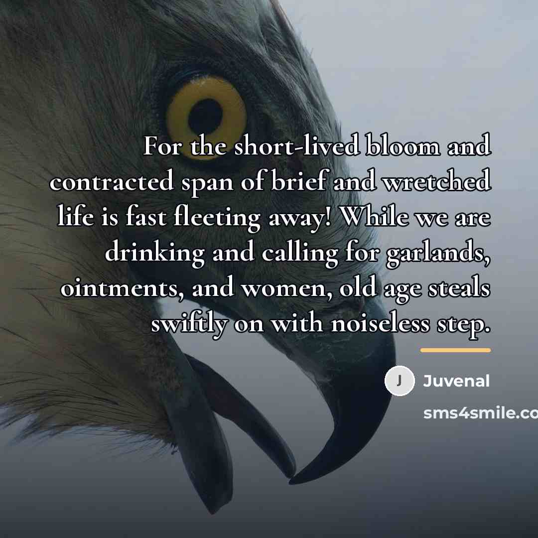 “For the short-lived bloom and contracted span of brief and…” quote by Juvenal