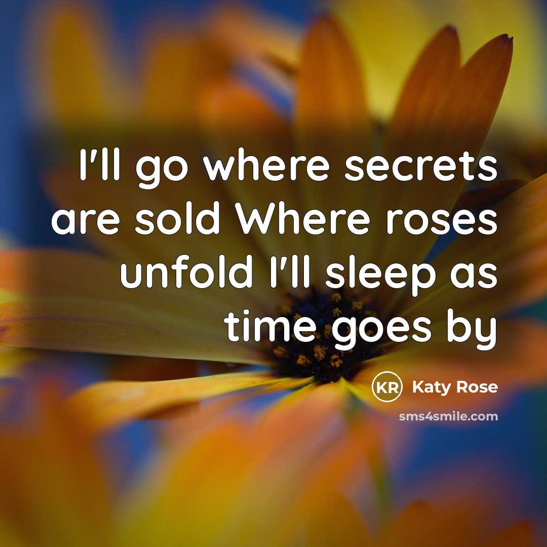 “I'll go where secrets are sold Where roses unfold I'll…” quote by Katy Rose