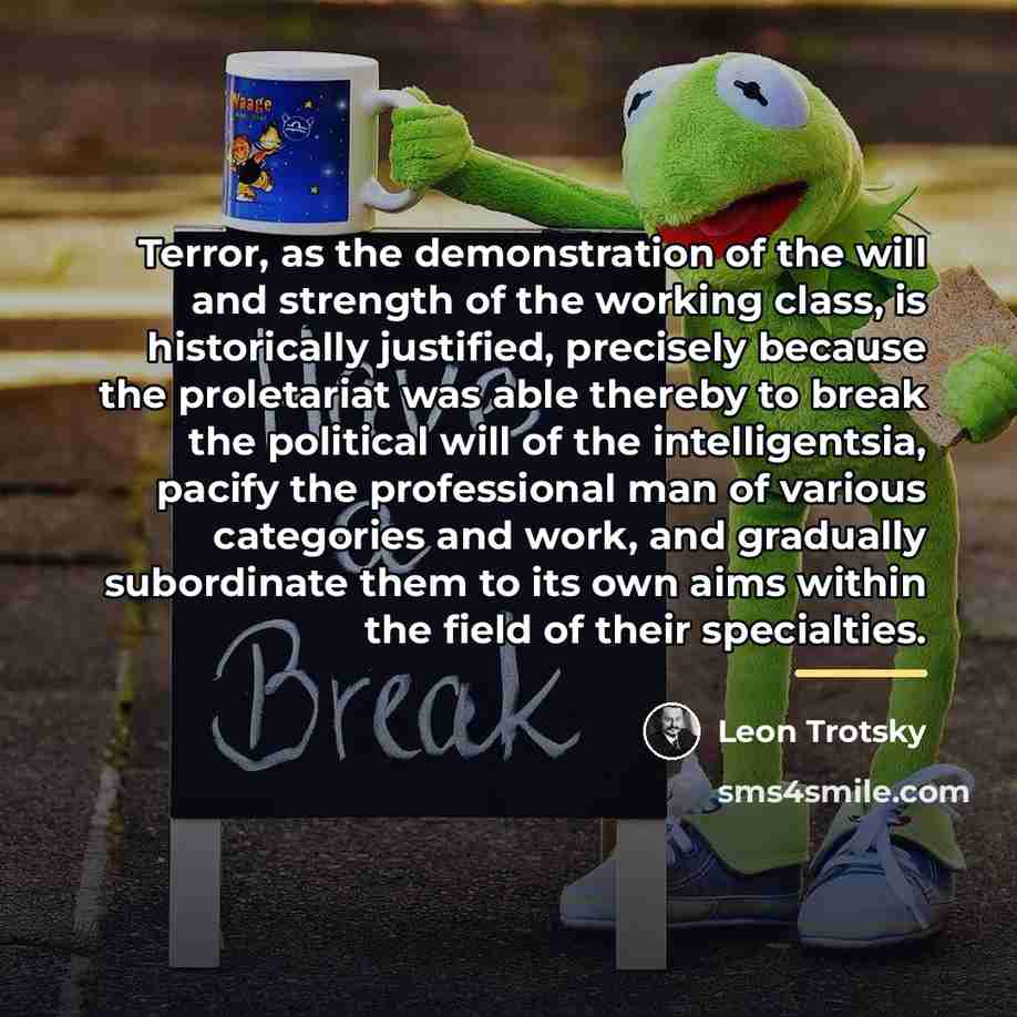 “Terror, as the demonstration of the will and strength of…” quote by Leon Trotsky