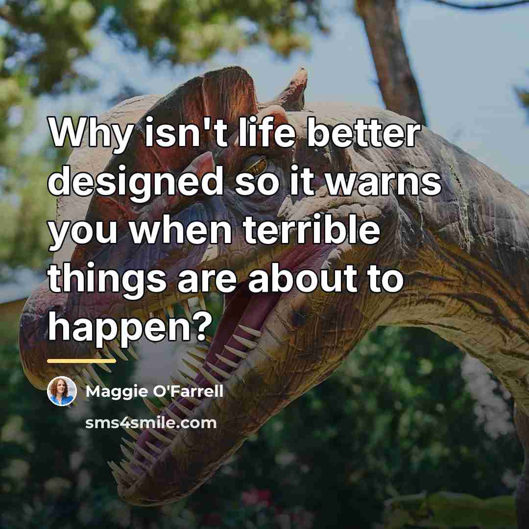 “Why isn't life better designed so it warns you when…” quote by Maggie O'Farrell