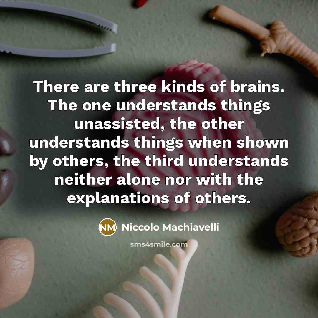 “There are three kinds of brains. The one understands things…” quote by Niccolo Machiavelli