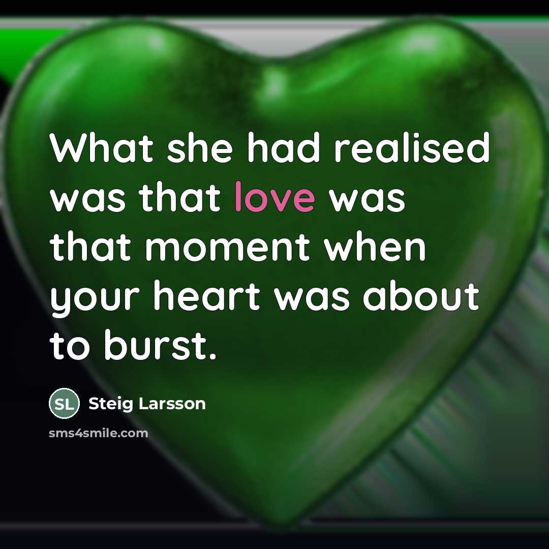“What she had realised was that love was that moment…” quote by Steig Larsson