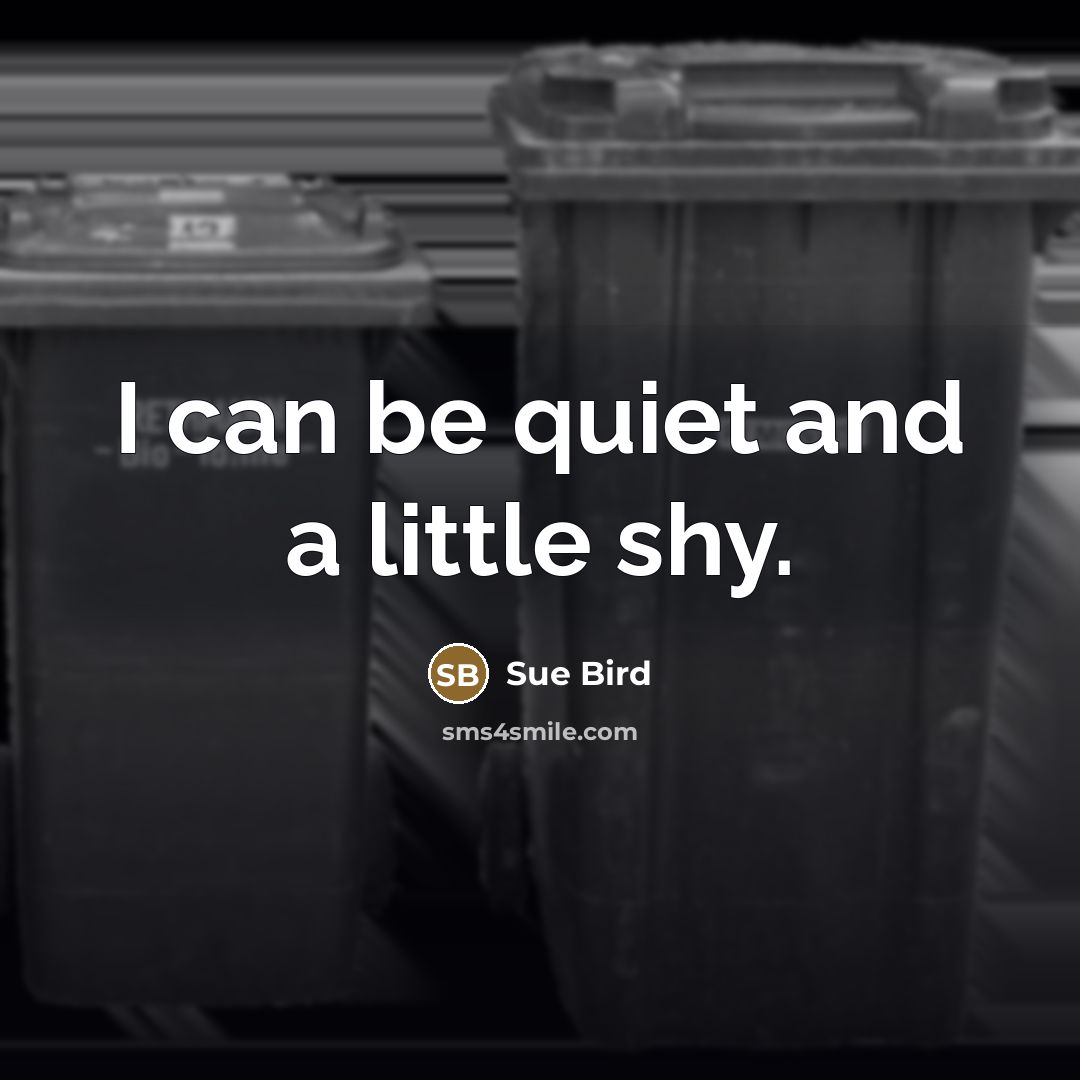 “I can be quiet and a little shy.…” quote by Sue Bird