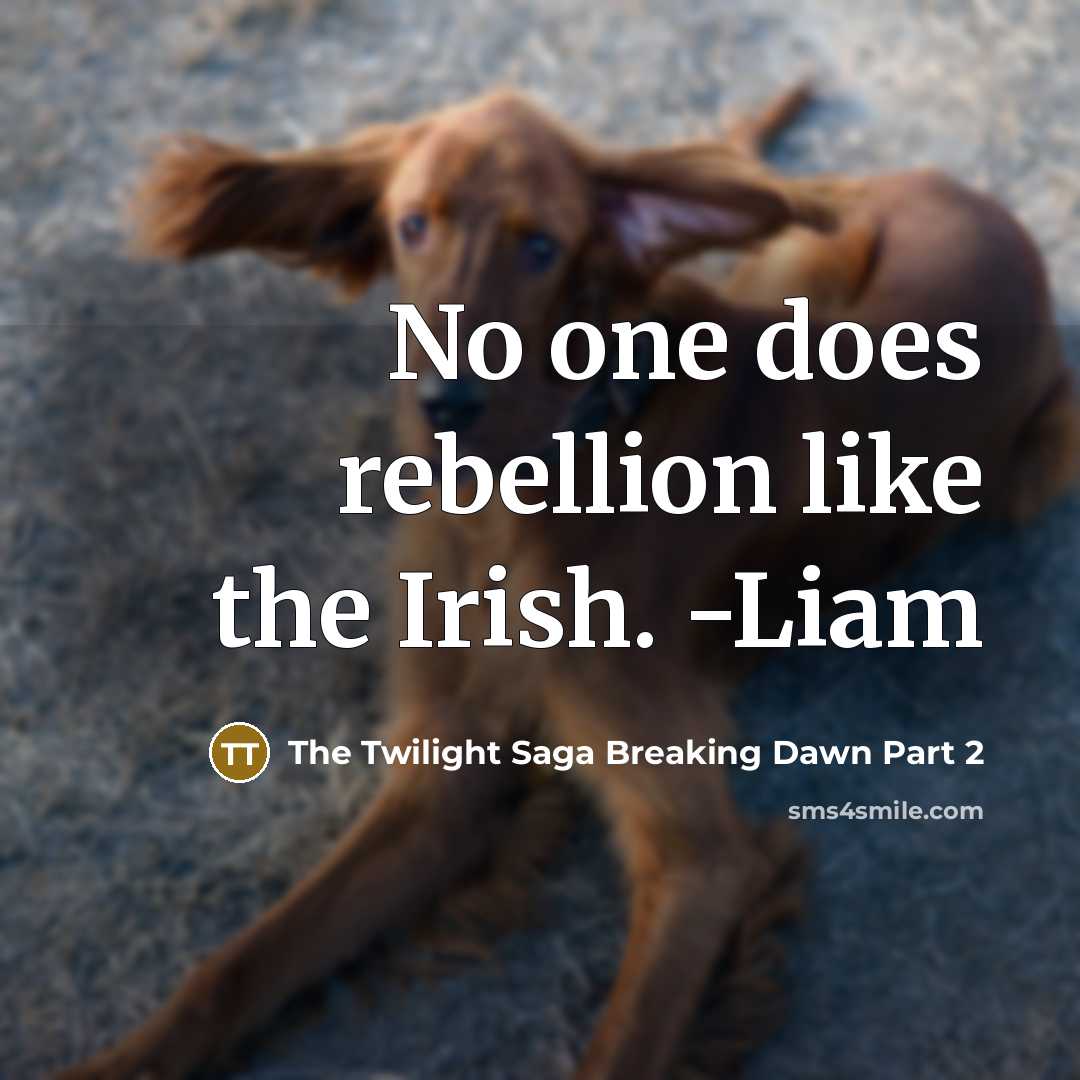 “No one does rebellion like the Irish. -Liam…” quote by The Twilight Saga Breaking Dawn Part 2