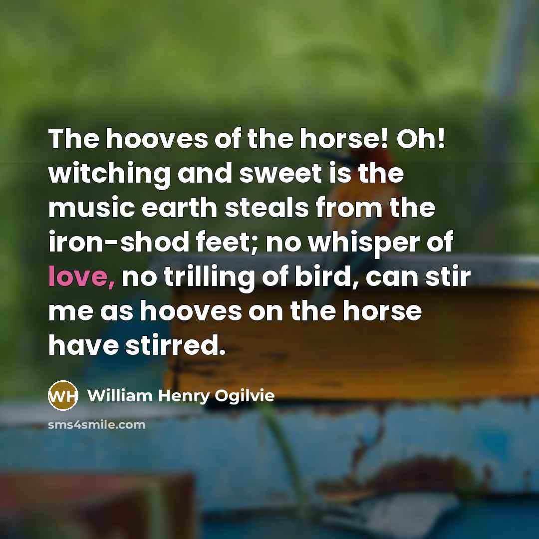 “The hooves of the horse! Oh! witching and sweet is…” quote by William Henry Ogilvie