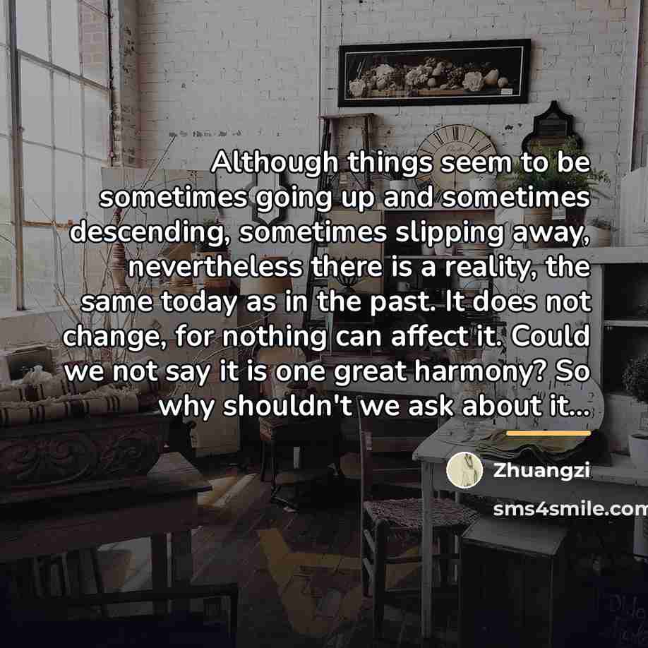“Although things seem to be sometimes going up and sometimes…” quote by Zhuangzi
