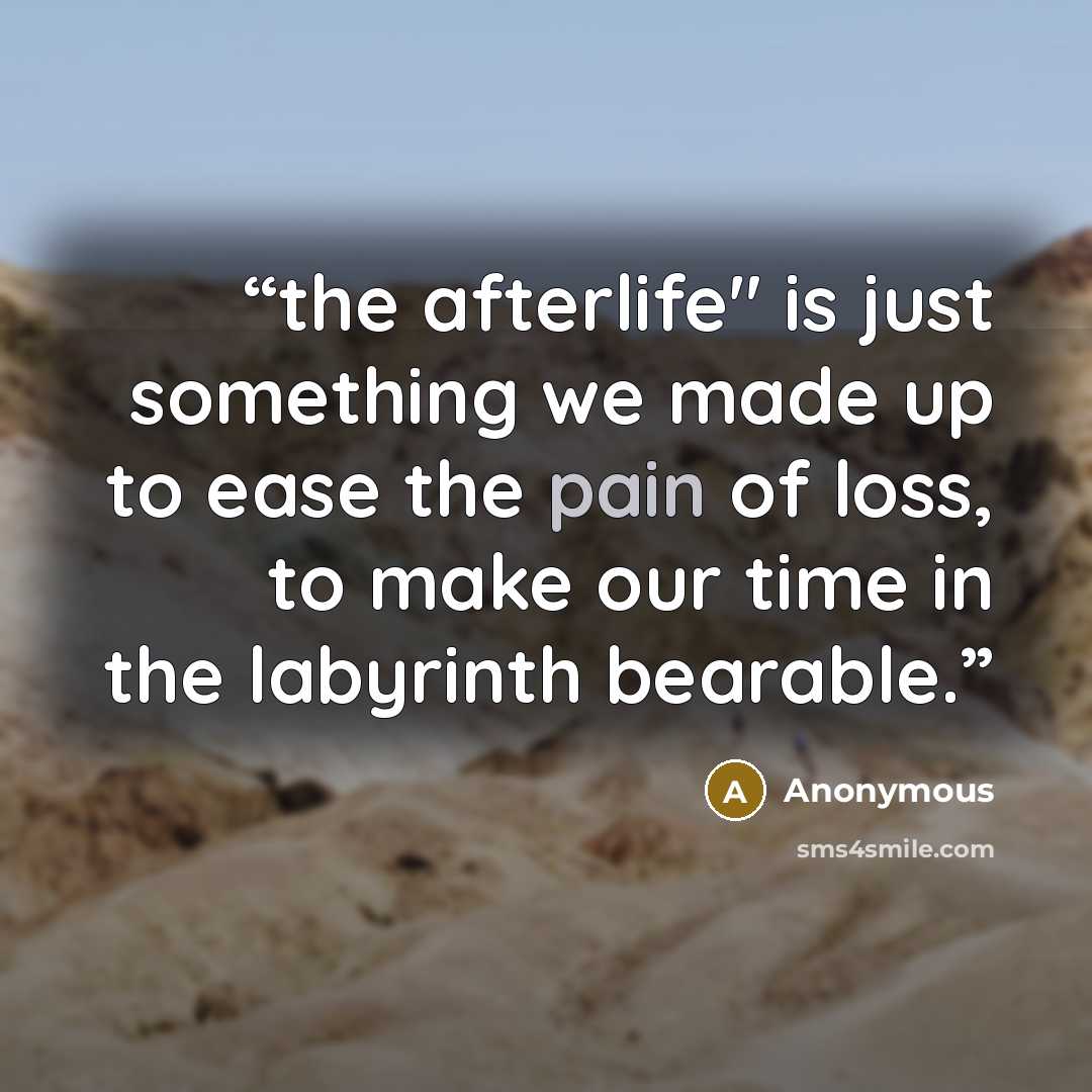 “the afterlife" is just something we made up to ease the pain of loss, to make our time in the labyrinth bearable.” quote by Anonymous