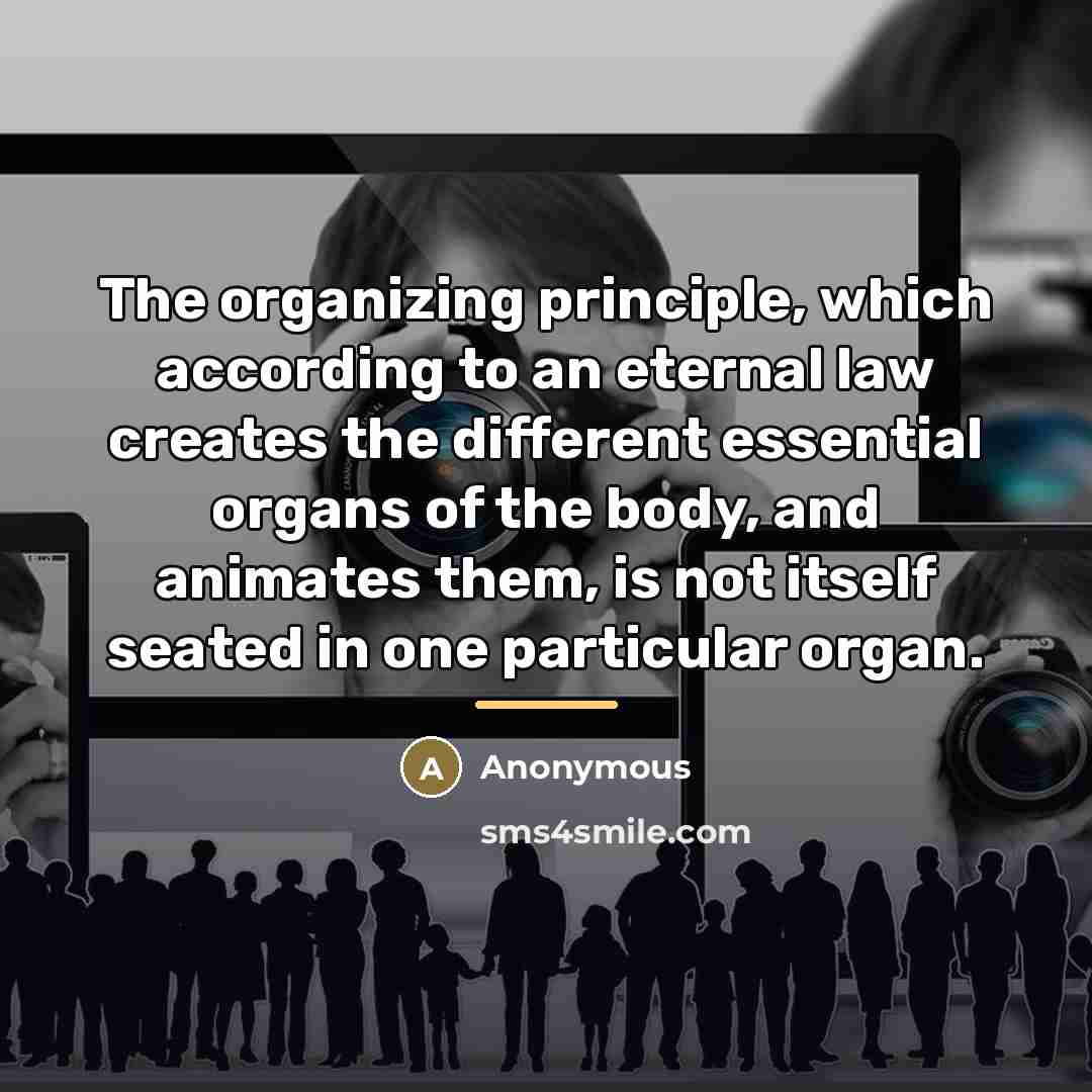 “The organizing principle, which according to an eternal law creates…” quote by Anonymous