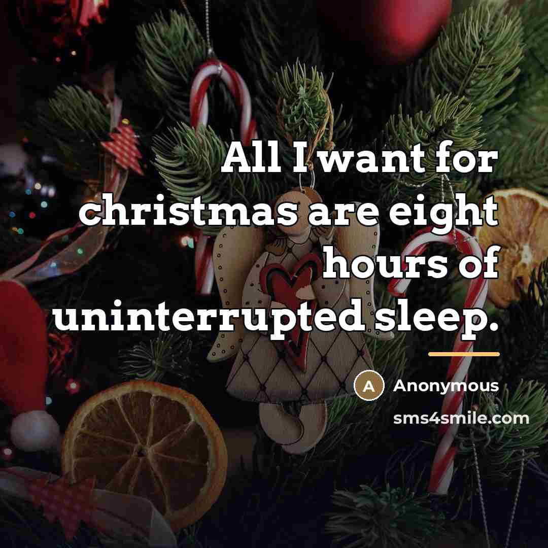 “All I want for christmas are eight hours of uninterrupted…” quote by Anonymous