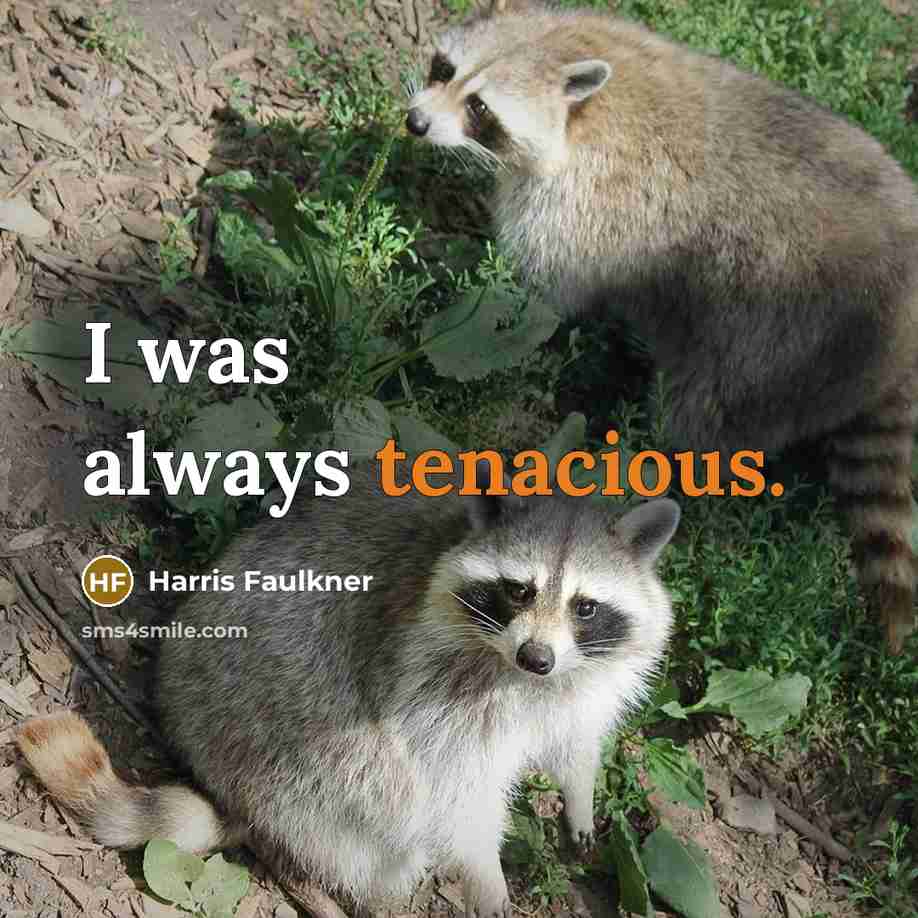 “I was always tenacious.…” quote by Harris Faulkner