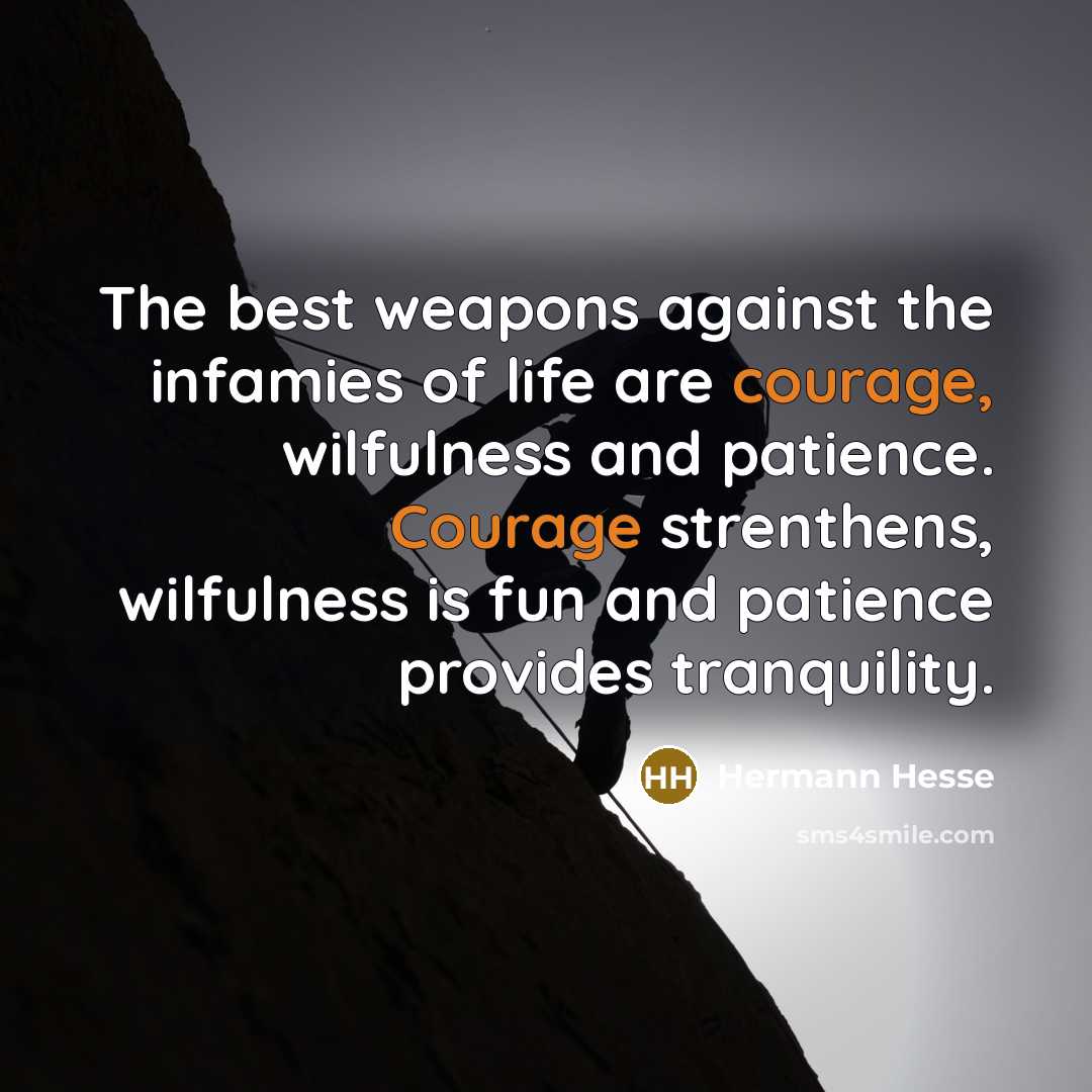 “The best weapons against the infamies of life are courage,…” quote by Hermann Hesse